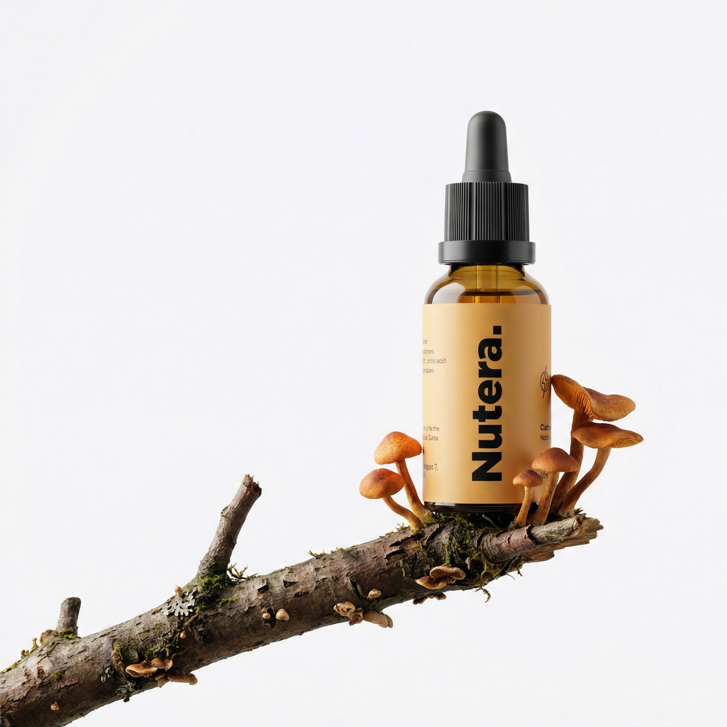 Cordyceps Extrakt Nutera Moodbild