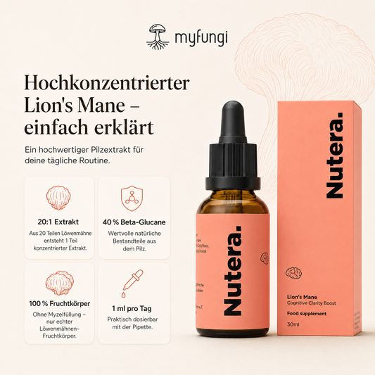 Lions Mane Extrakt Eigenschaften