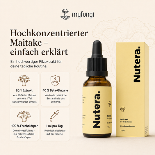 Maitake Extrakt Eigenschaften