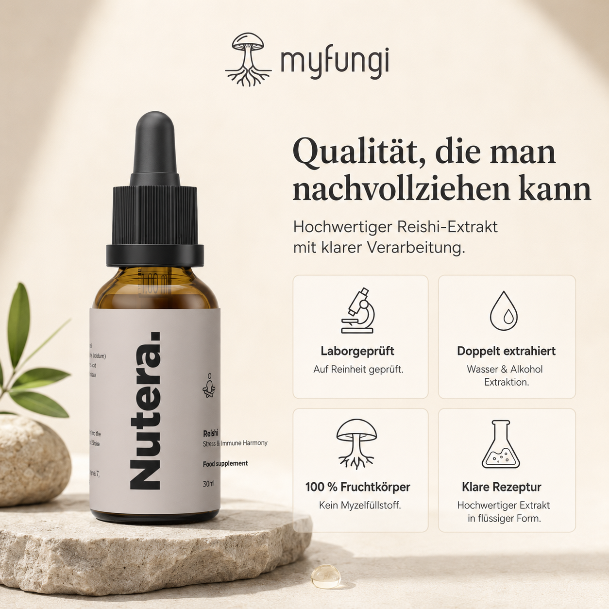 Reishi Extrakt Qualität Merkmale