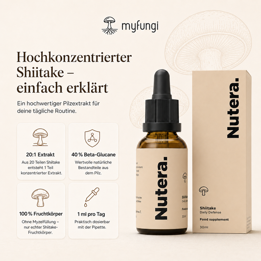 Shiitake Extrakt Eigenschaften