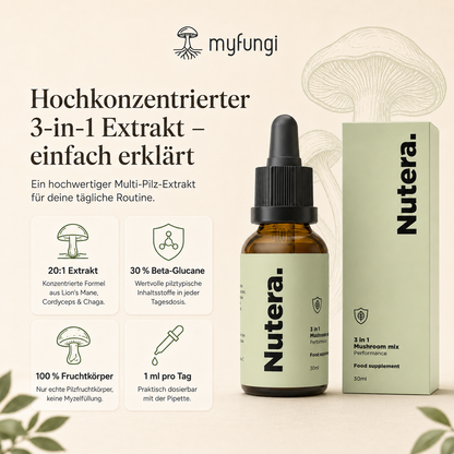 3 in 1 Vitalpilze Extrakt Eigenschaften