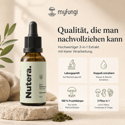 3 in 1 Vitalpilze Extrakt Qualität Merkmale
