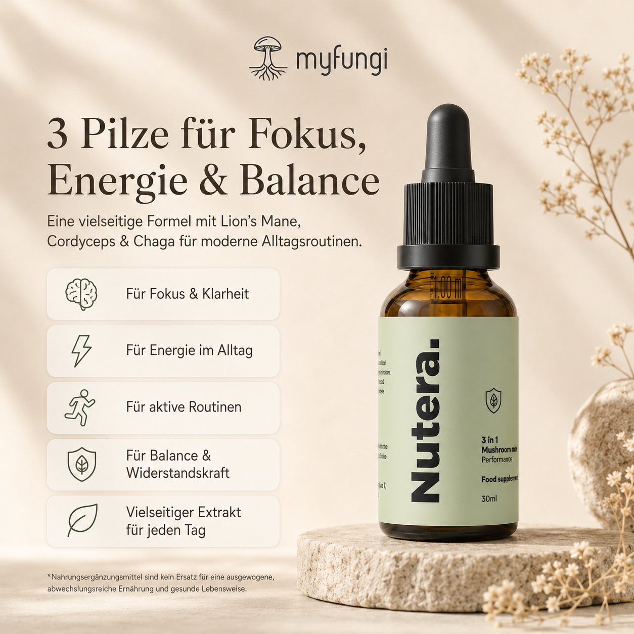 3 in 1 Vitalpilze Extrakt Vorteile Wirkung
