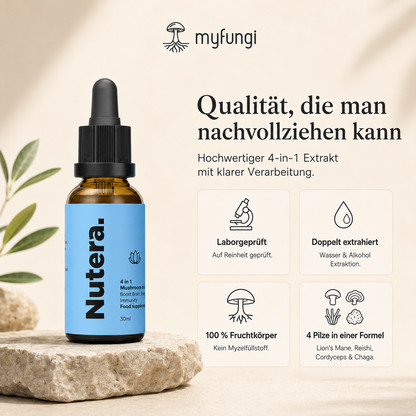 4 in 1 Vitalpilze Extrakt Qualität Merkmale