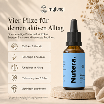 4 in 1 Vitalpilze Extrakt Vorteile Wirkung