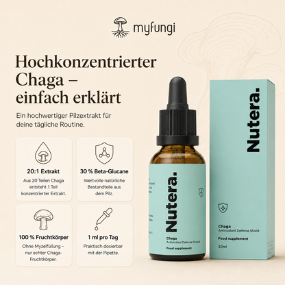 Chaga Extrakt Eigenschaften