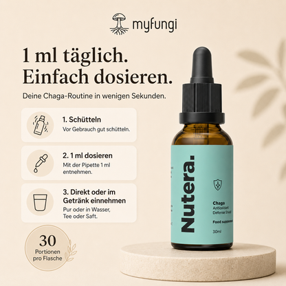 Chaga Extrakt Dosierung Anleitung
