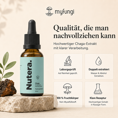 Chaga Extrakt Qualität Merkmale