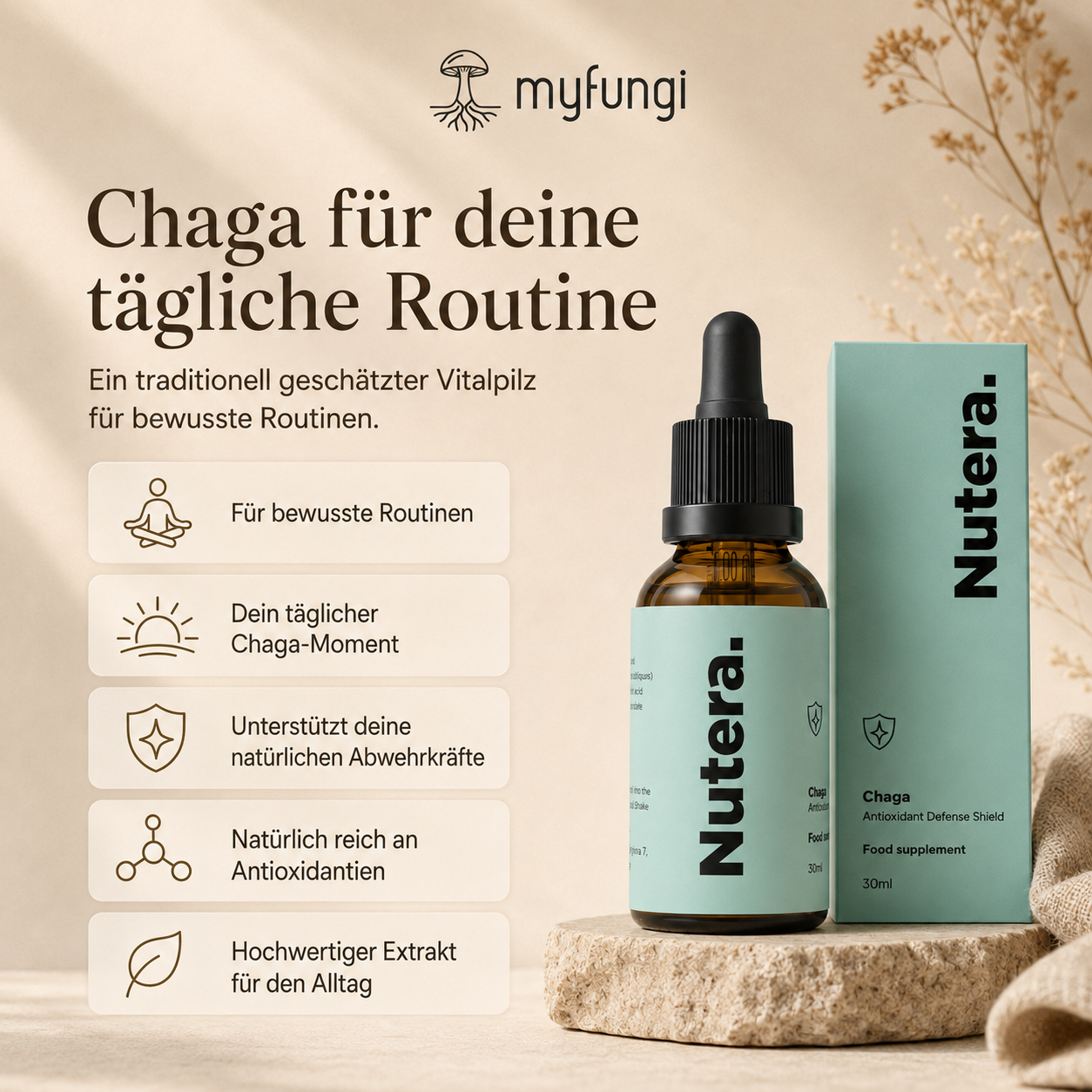 Chaga Extrakt Vorteile Wirkung