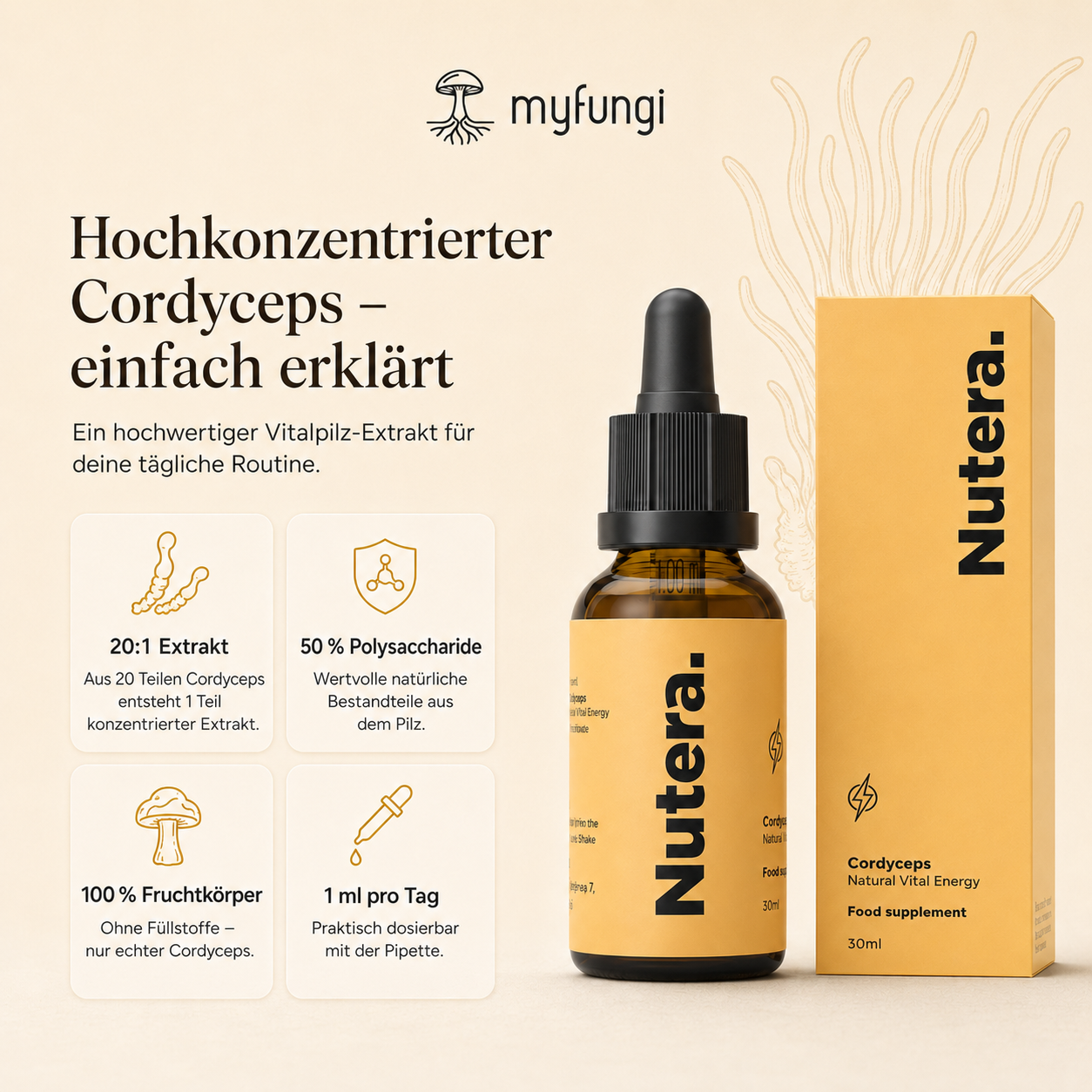 Cordyceps Extrakt Eigenschaften