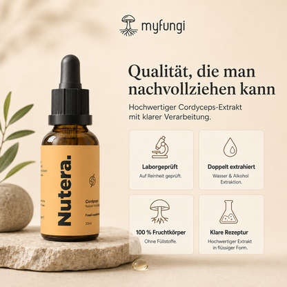 Cordyceps Extrakt Qualität Merkmale