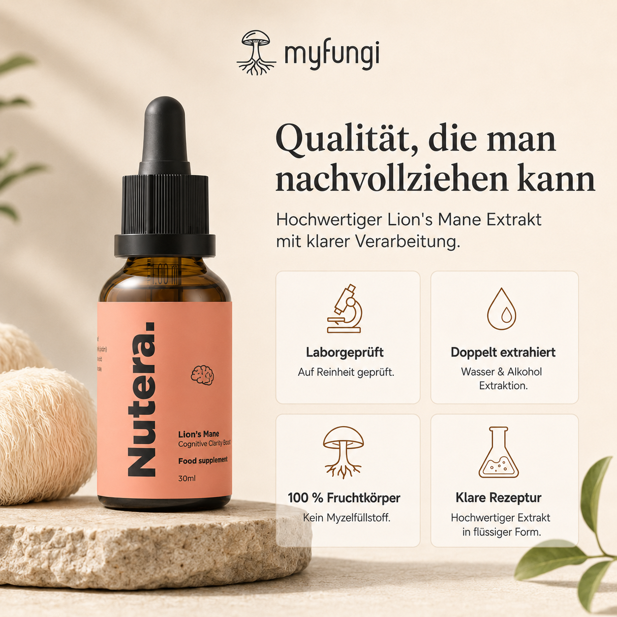Lions Mane Extrakt Qualität Merkmale