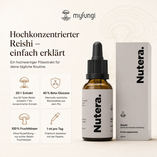 Reishi Extrakt Eigenschaften