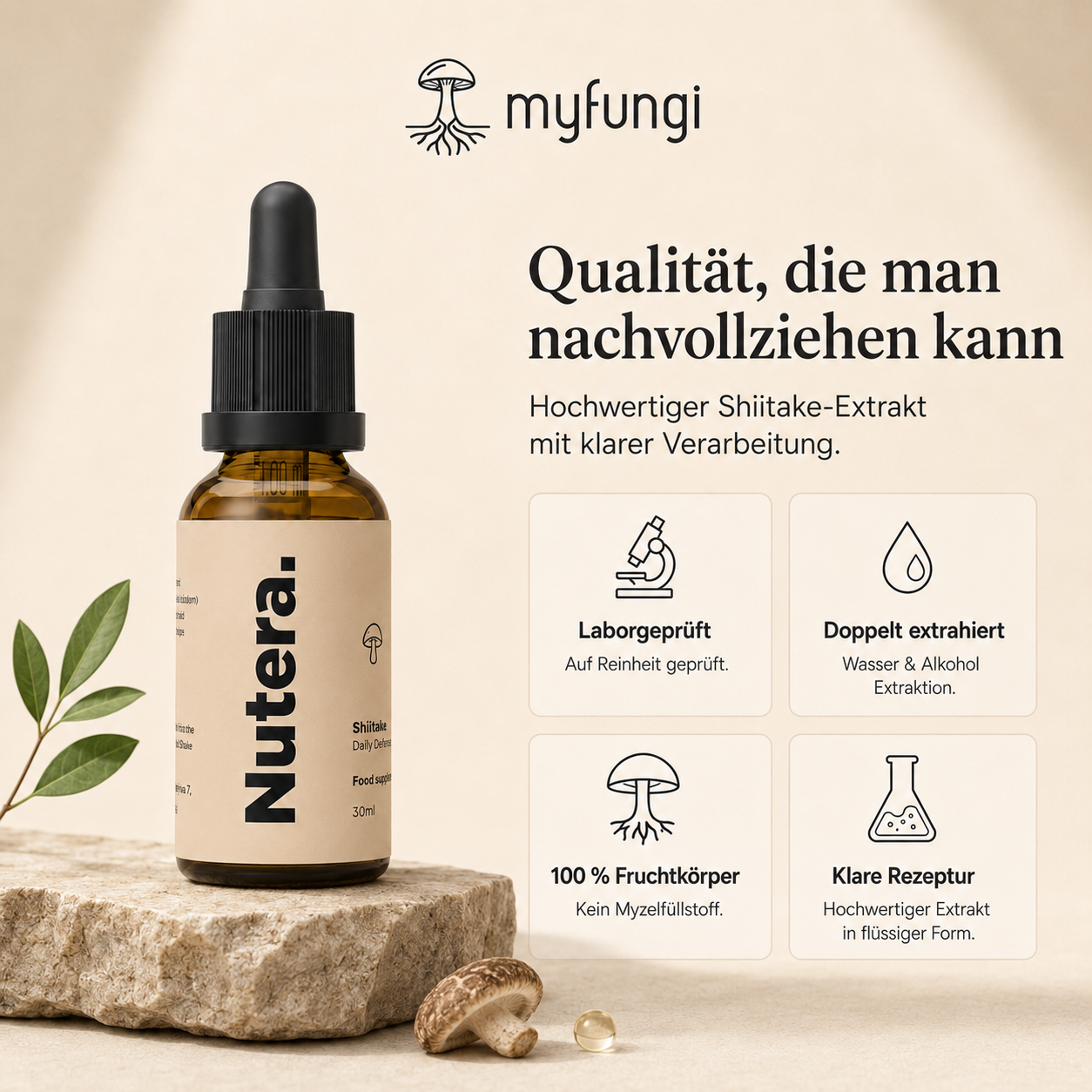 Shiitake Extrakt Qualität Merkmale