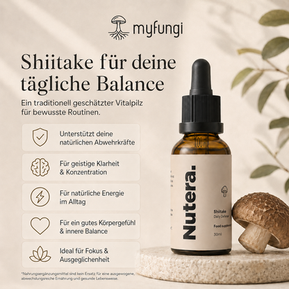 Shiitake Extrakt Vorteile Wirkung
